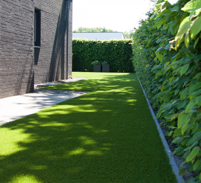 garden-lawn